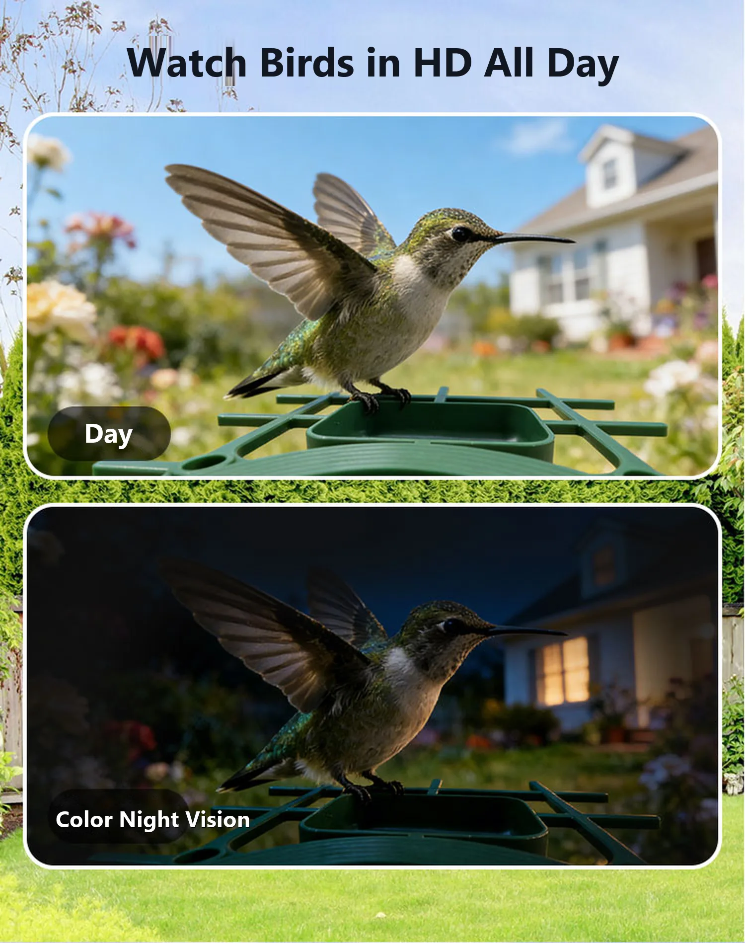 Watch birds in HD all day, with colour night vision