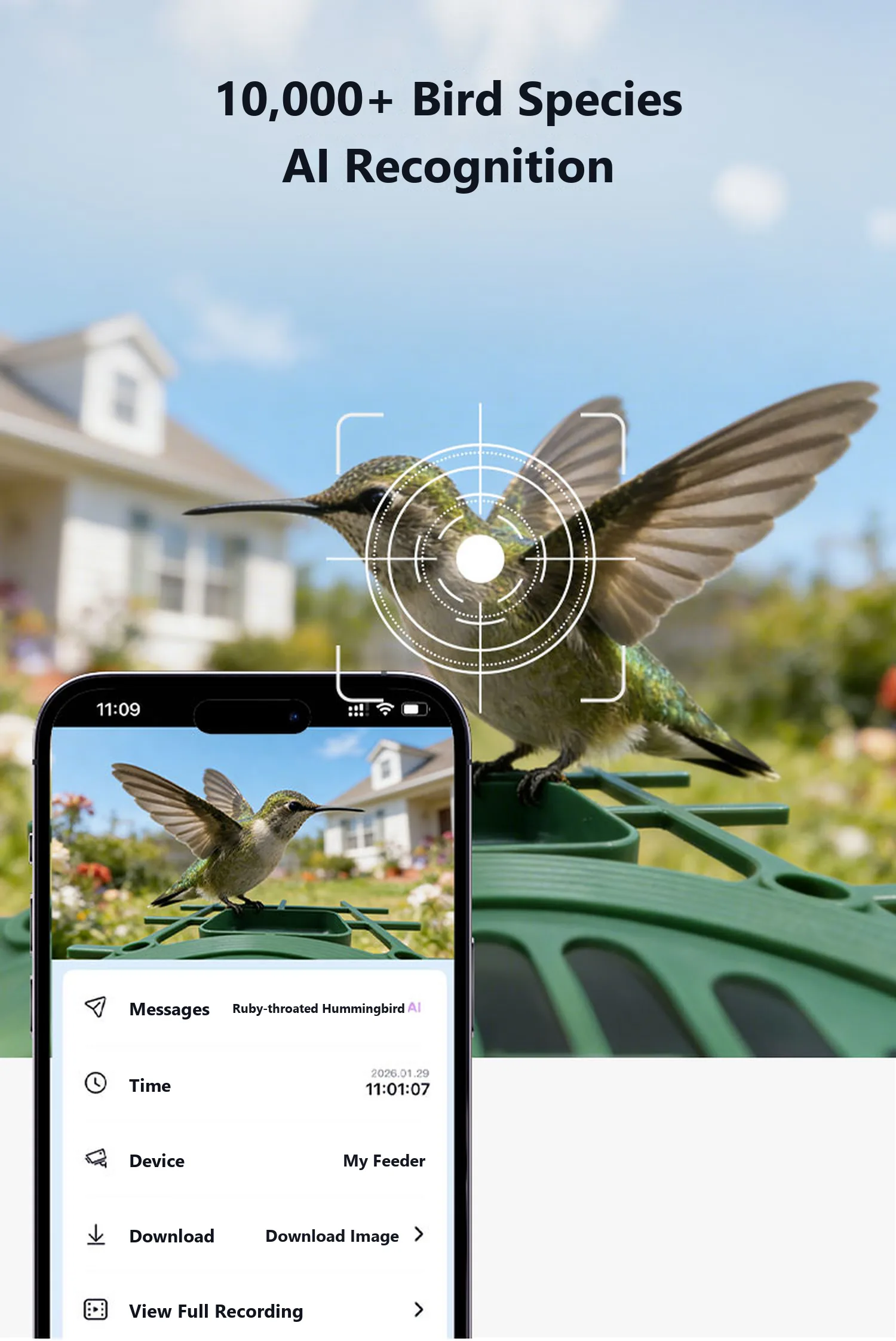 10,000+ bird species AI recognition