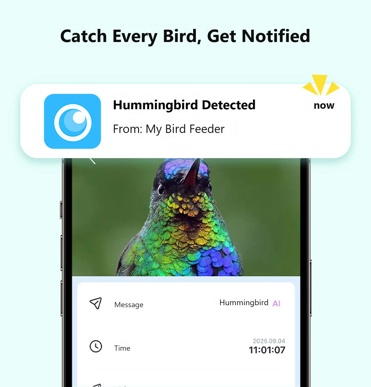 Real-time push notification when a bird lands