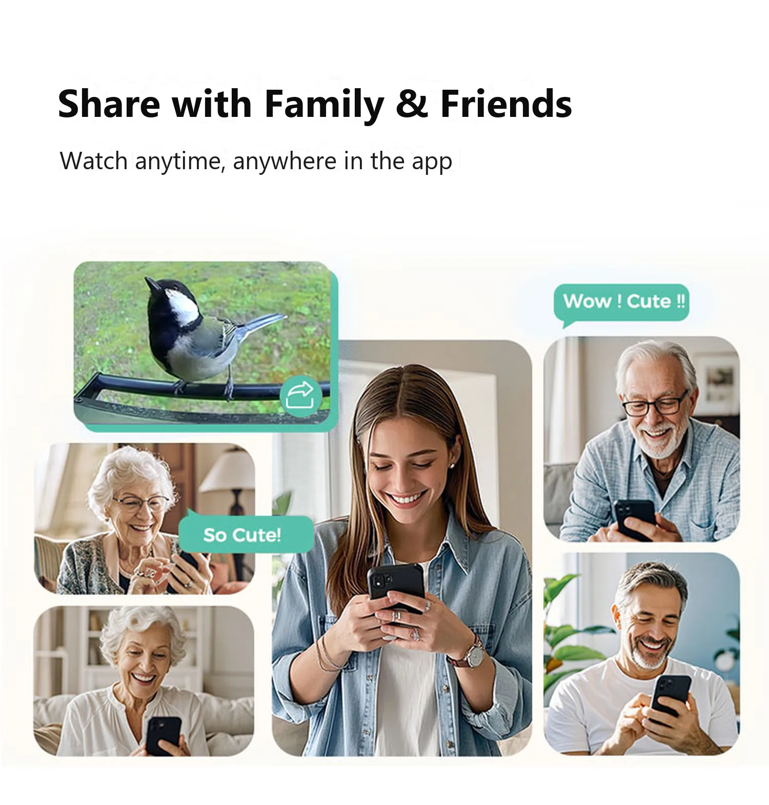 Share the feeder with family and friends in the app