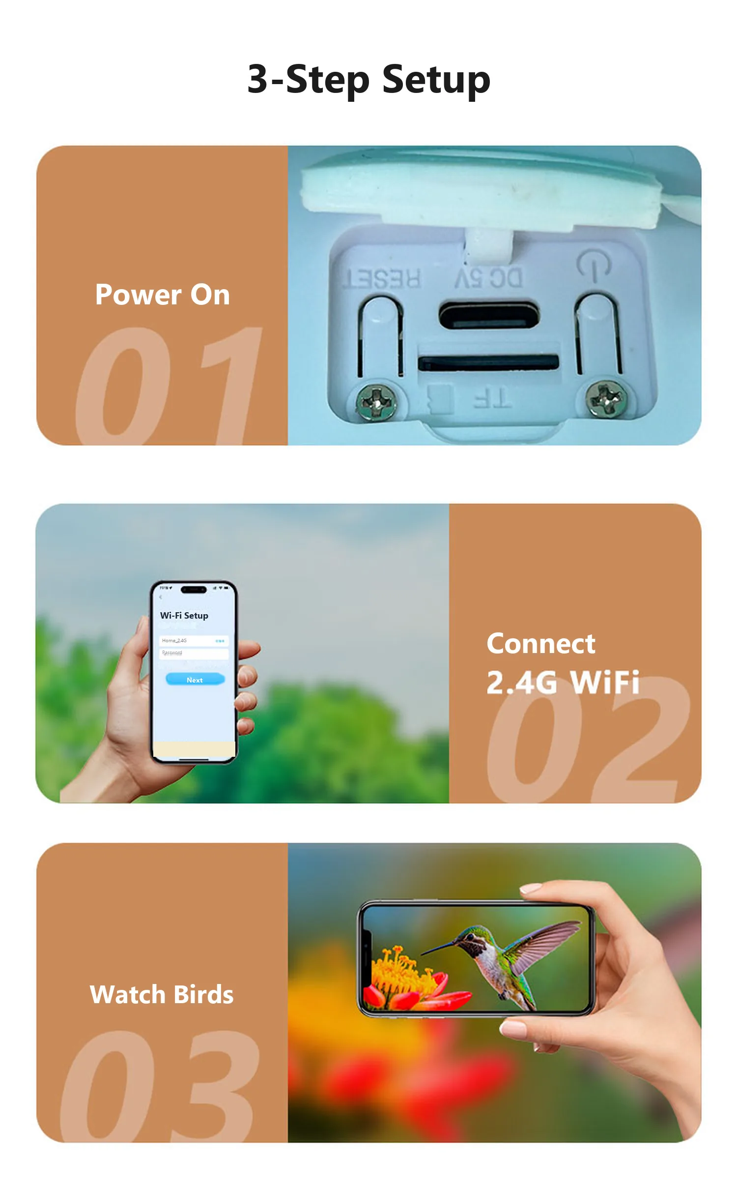 Three-step setup: power on, connect WiFi, watch birds