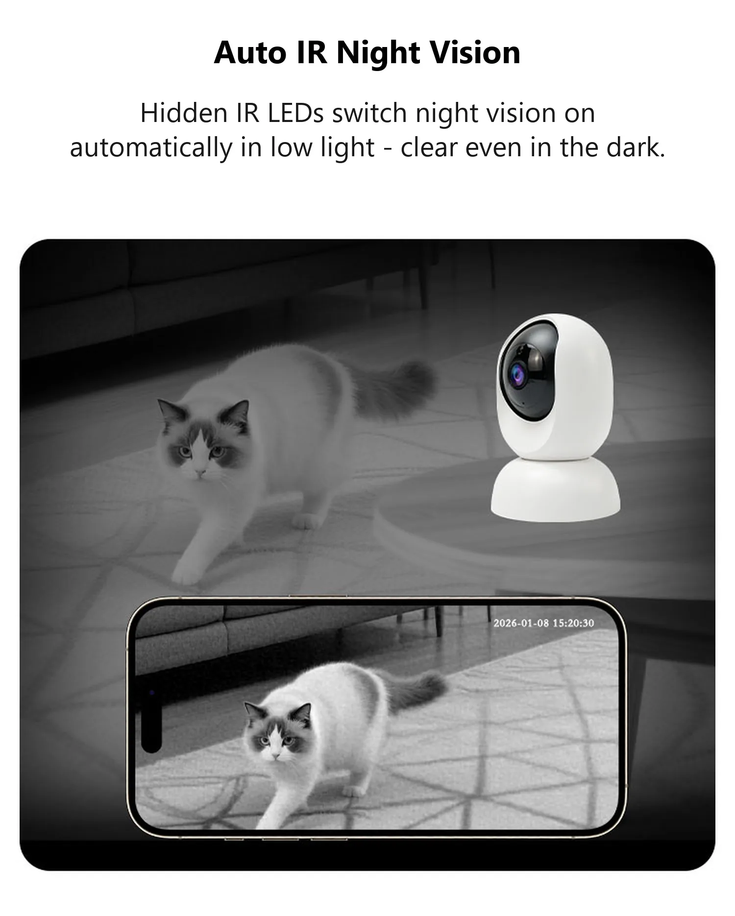 C19 auto IR night vision, cat walking in a dark room in black and white