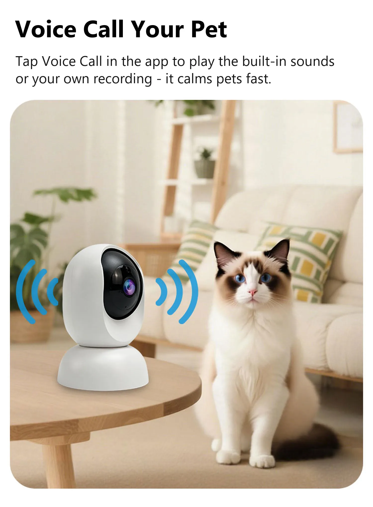 C19 voice call, built-in sounds and recordings to calm a pet