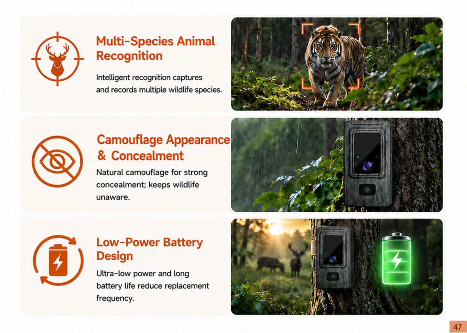 trail camera — key selling points and features