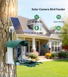 A20S-A3 solar camera bird feeder on a tree, AI bird ID