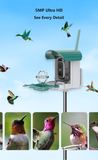 4 MP ultra HD footage and sample bird screenshots