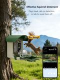Effective squirrel deterrent in the app