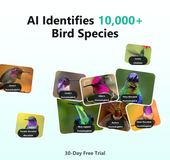 AI identifies 10,000+ bird species with a 30-day free trial