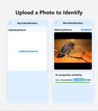 Upload a photo to identify a bird you did not catch live