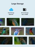 Cloud storage and micro SD card up to 128 GB