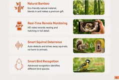 bamboo birdhouse camera — key selling points and features