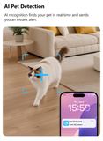 C19 AI pet detection, cat outlined in the frame with a Pet Detected alert on the phone