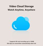 Video cloud storage with SD card recording