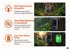 trail camera — key selling points and features